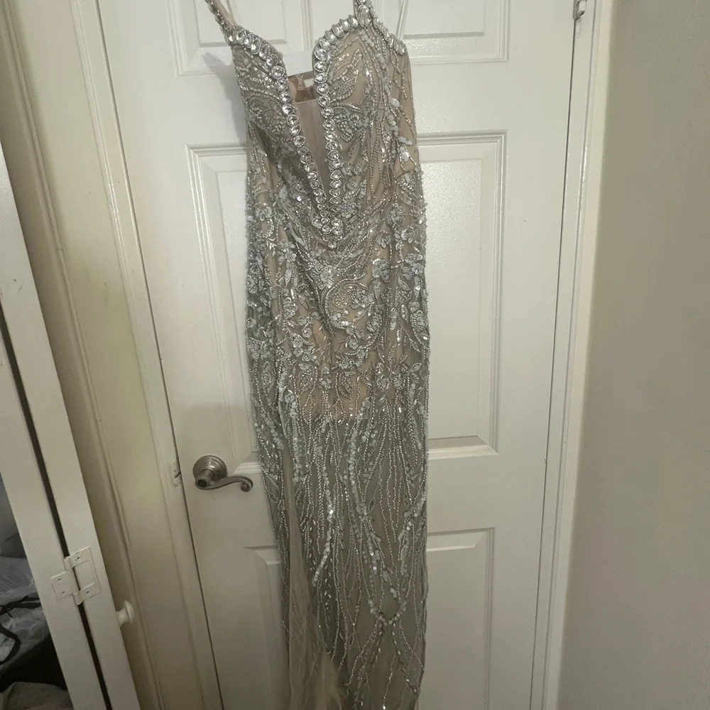 Elegant Silver Embellished Evening Dress - Picture 4 of 7